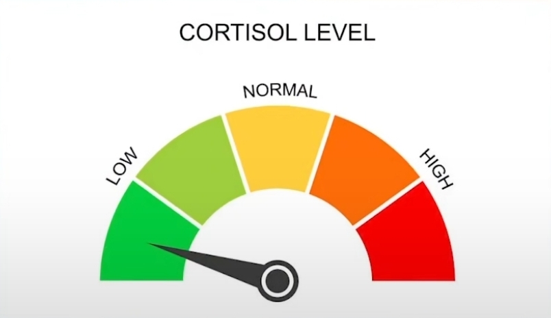 Screenshot 20251213 163647 TikTok