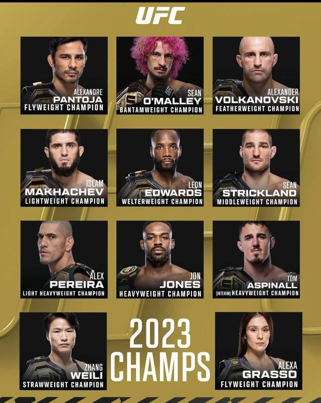 Champs 2023 2024 v0 f2t6t4wvwk7e1