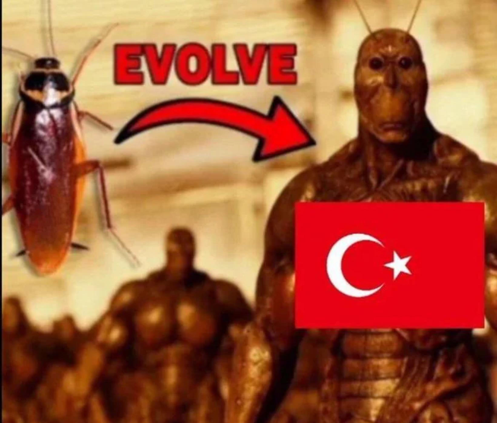 5638795 1765517641944