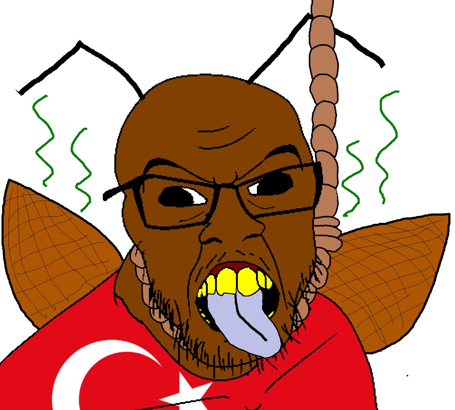 SoyBoorucom   116951   angry antenna cockroach country cross eyed derp flag flag turkiye glas