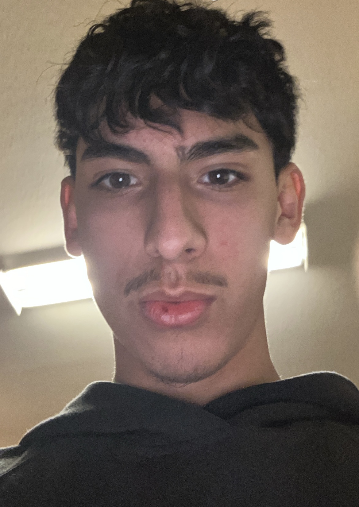 236103EF 0838 497F 83C9 72771DAEF7D6