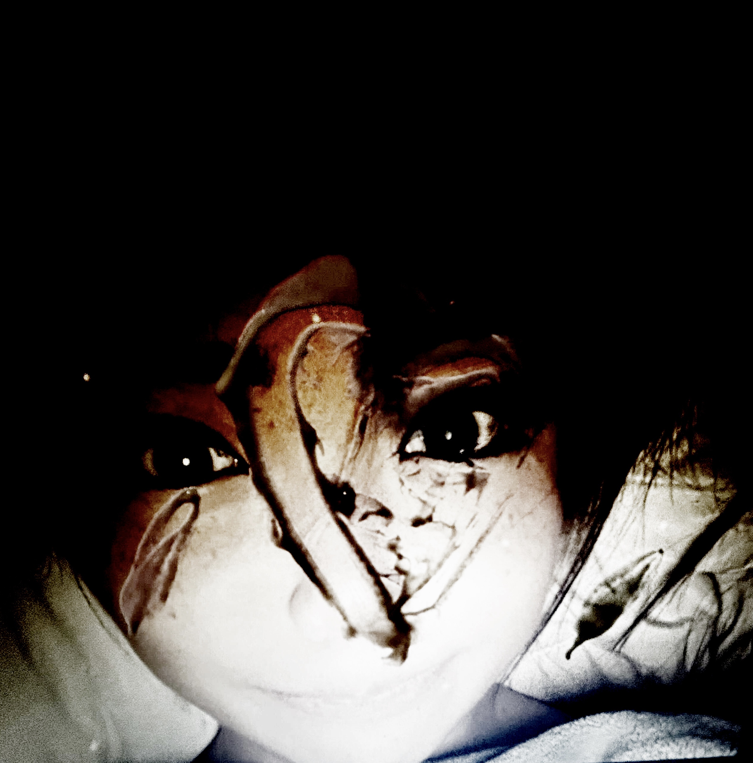 95857CC9 176E 42C2 AC8C 9FC89EB3D593