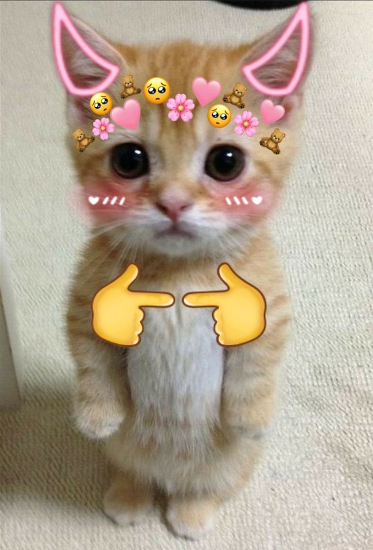1000007220