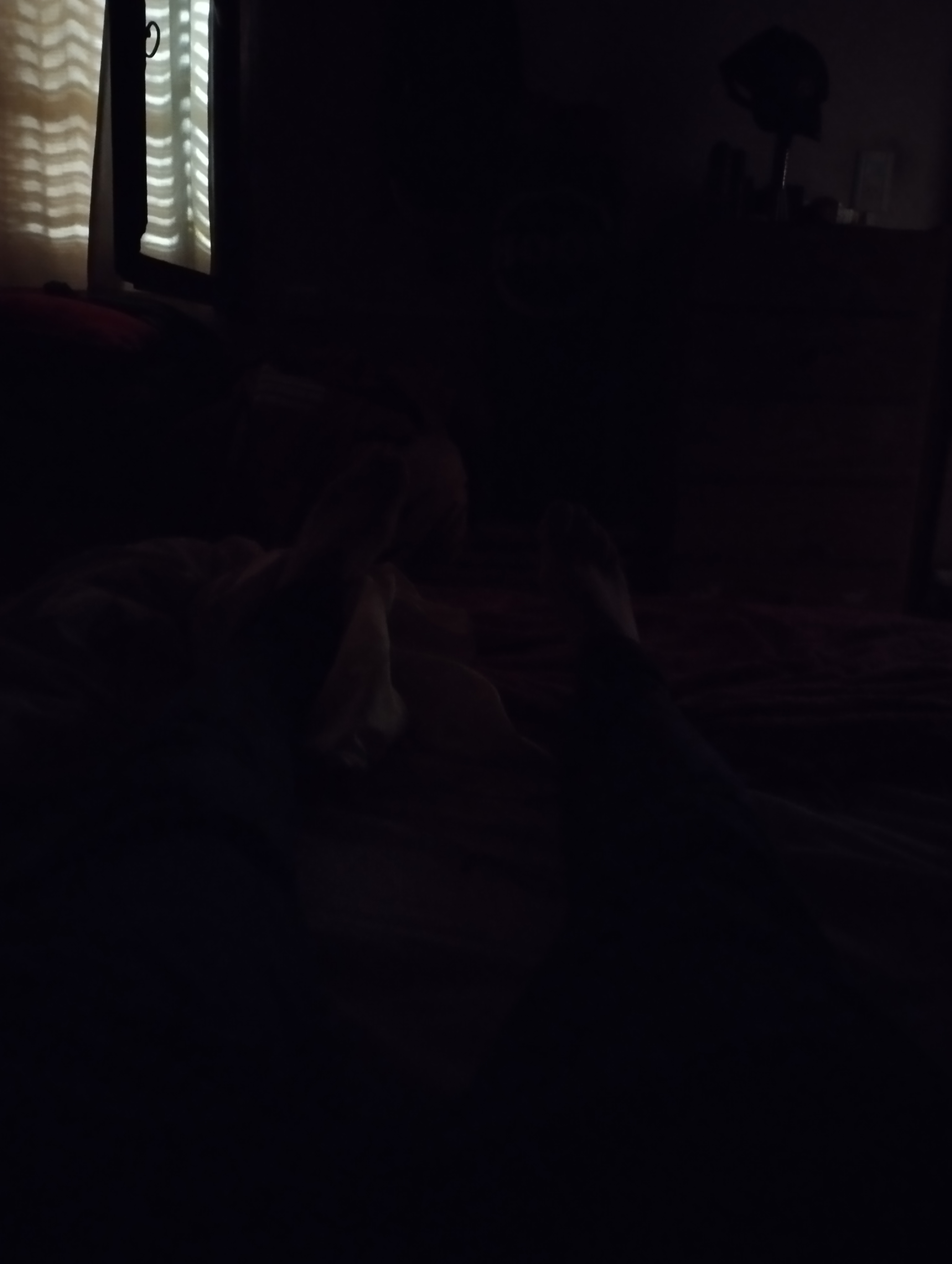 IMG 20251219 163529