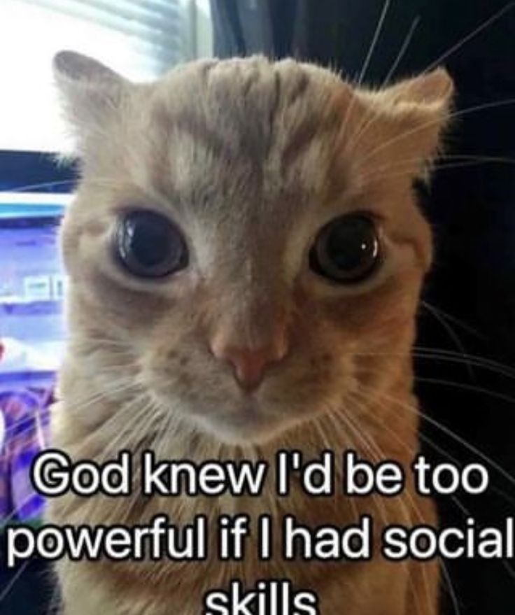 1000007217