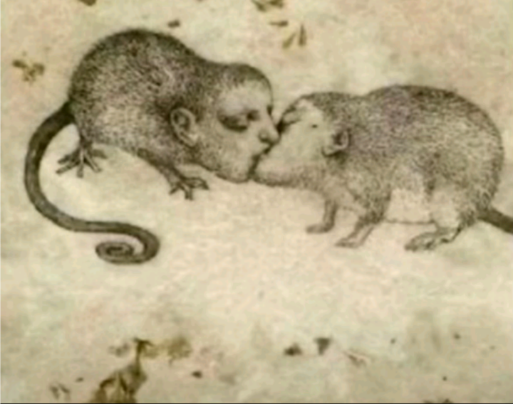 Polish 20251210 200158290