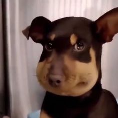 36580d363d1b9f6f2219620f368c17c1