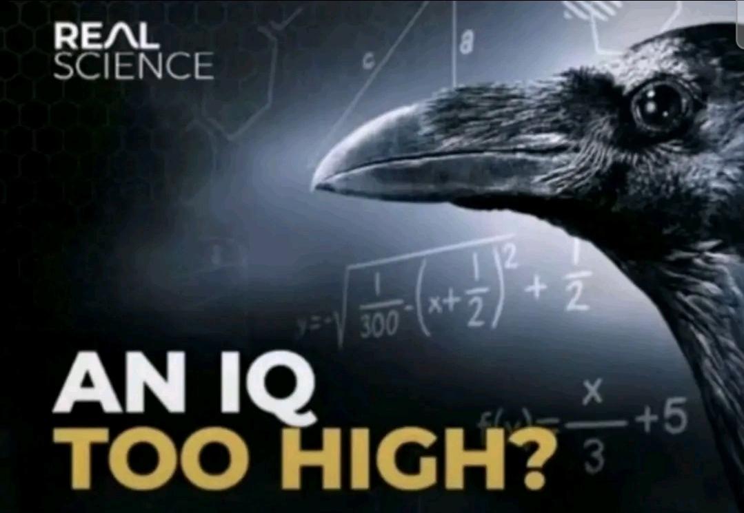 1693284b7d4c483eaf54bc7b5018881btplv jj85edgx6n image origin