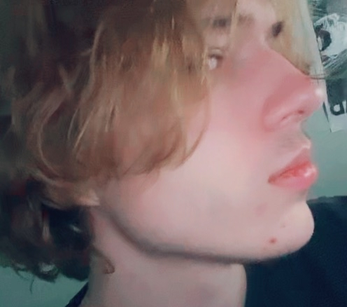 Nvcvxcvbx