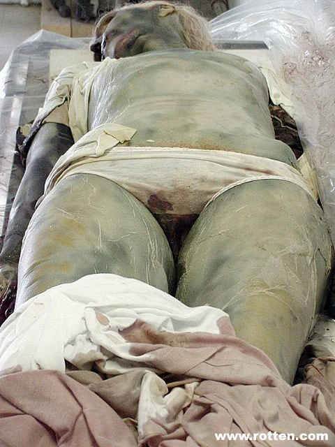 1735044889rOxRVtNb xF19Q