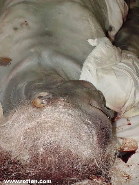 1735044889K1P5296 heFlCg