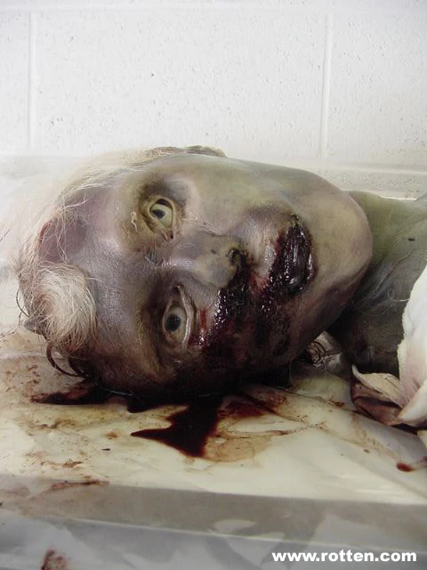 1735044889DwxWbG 3MXwe8g