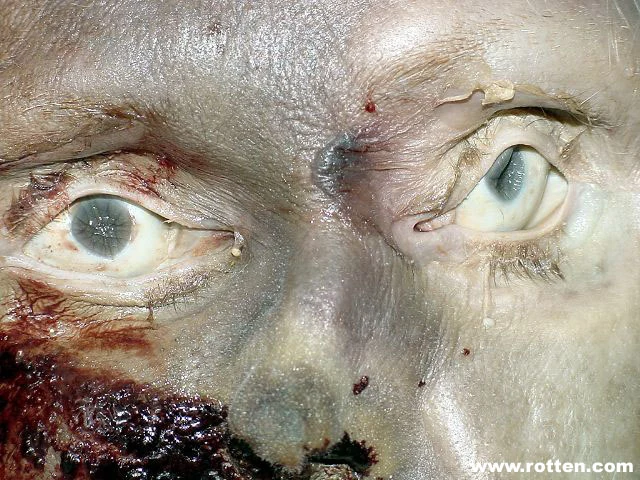 1735044890aECisJ8p7aJ3zQ