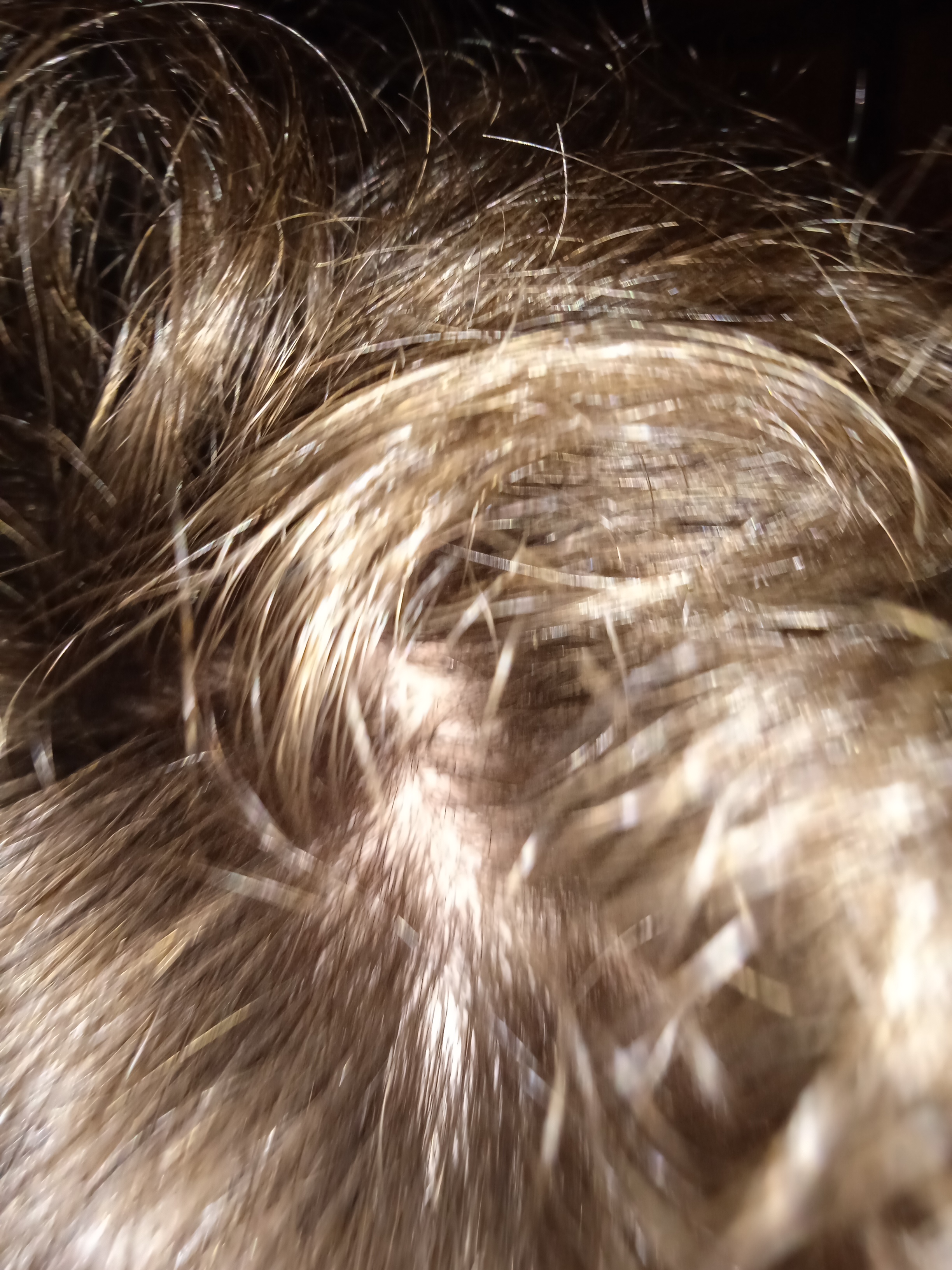 17664586820005973121243563521199