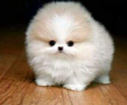 Screenshot 2025 12 23 114356 AM