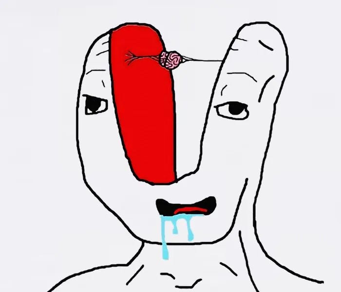 5de096f6 d592 488d 8eba 1a5b392698ed 700x700