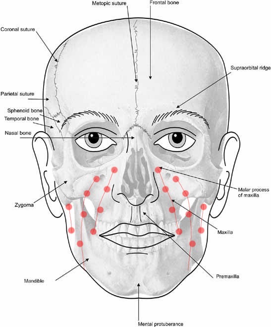 B252de2c b94a 4f8c afbc c8193d73863e