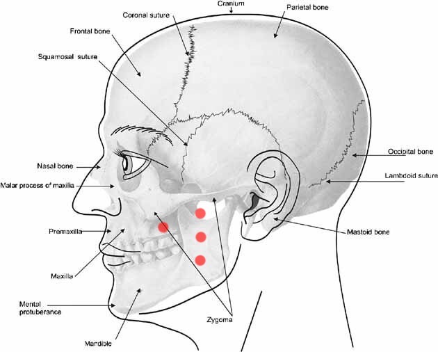 C29ef2a8 66f3 419d 9fcc 64318eadc3be