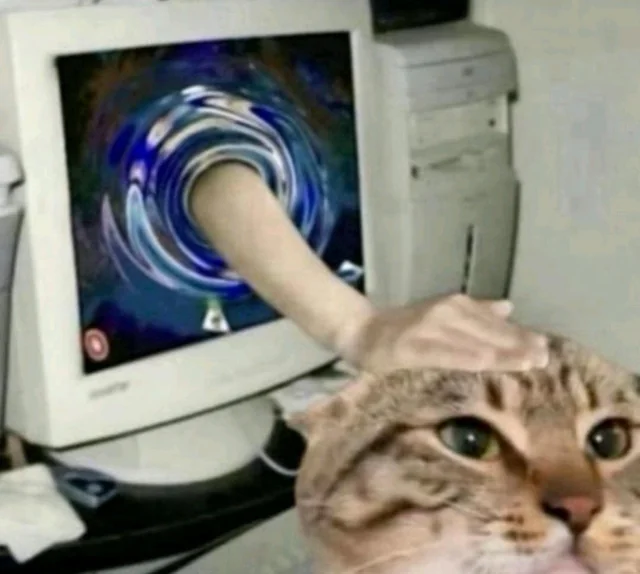 Petting a cat through an old computer jpeg v0 wtiqkdgpu65f1