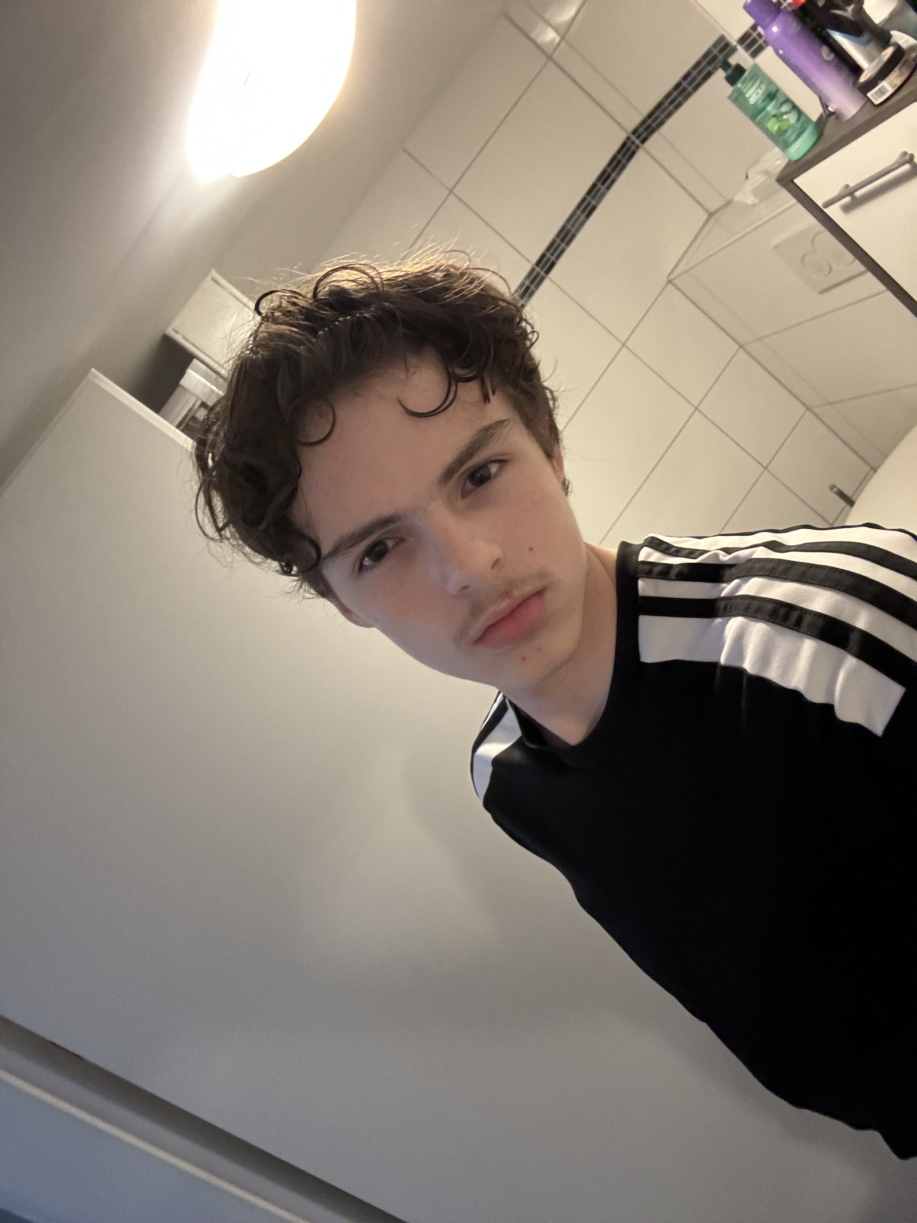 IMG 0037
