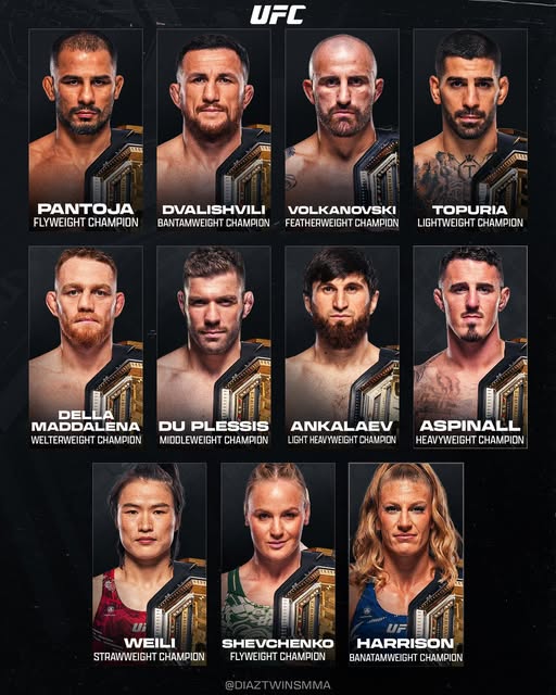 514402193 1142236501270801 5113740615709830685 n