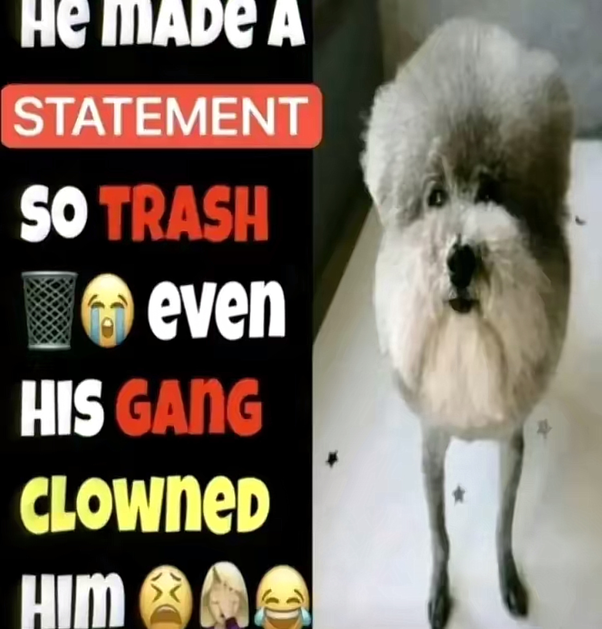5638316 IMG 2891