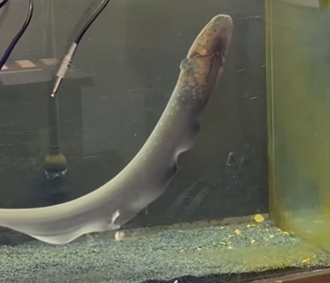 Screenshot 2025 12 26 13 21 19 851 cominstagramandroid edit