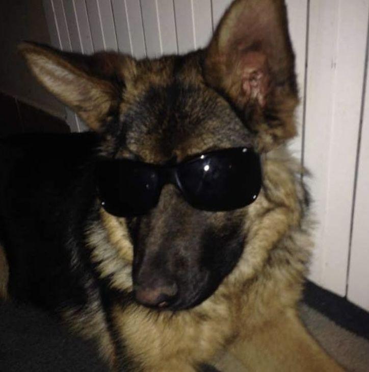 D6ccc64501e0b86a5c20bad8929a77b9