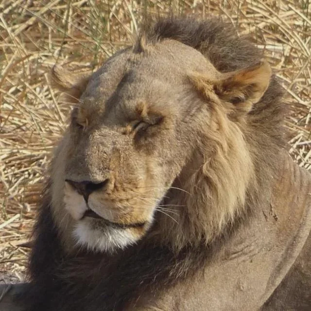 Boys what do you think why dont you get girl v0 l7memb0qdt1g1