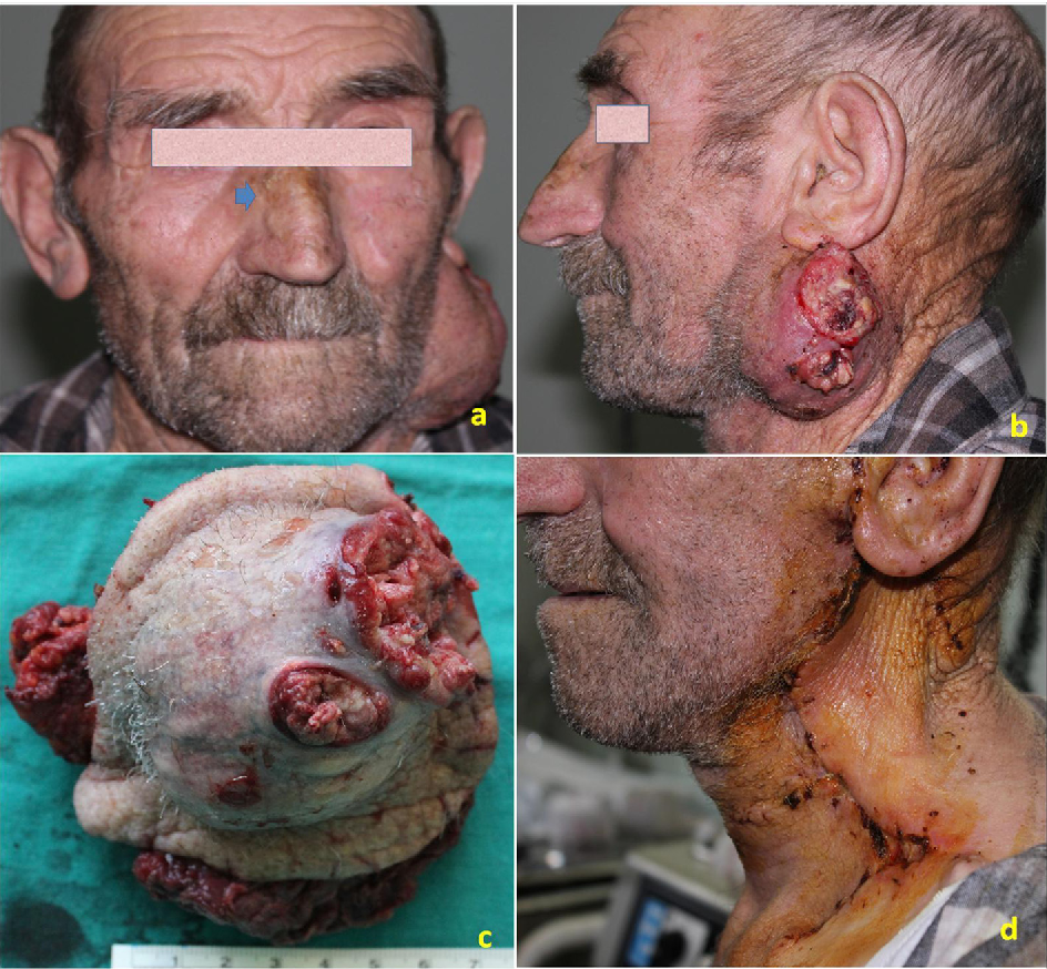 Image search 1766811751361