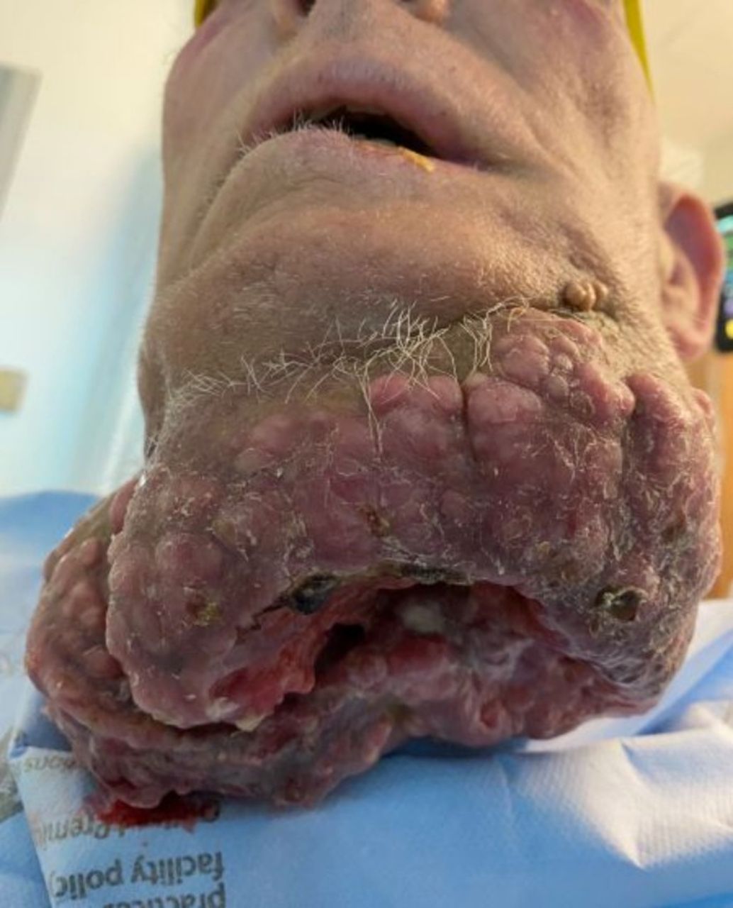 Image search 1766811798845