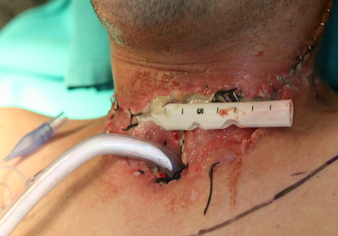 Image search 1766811808426