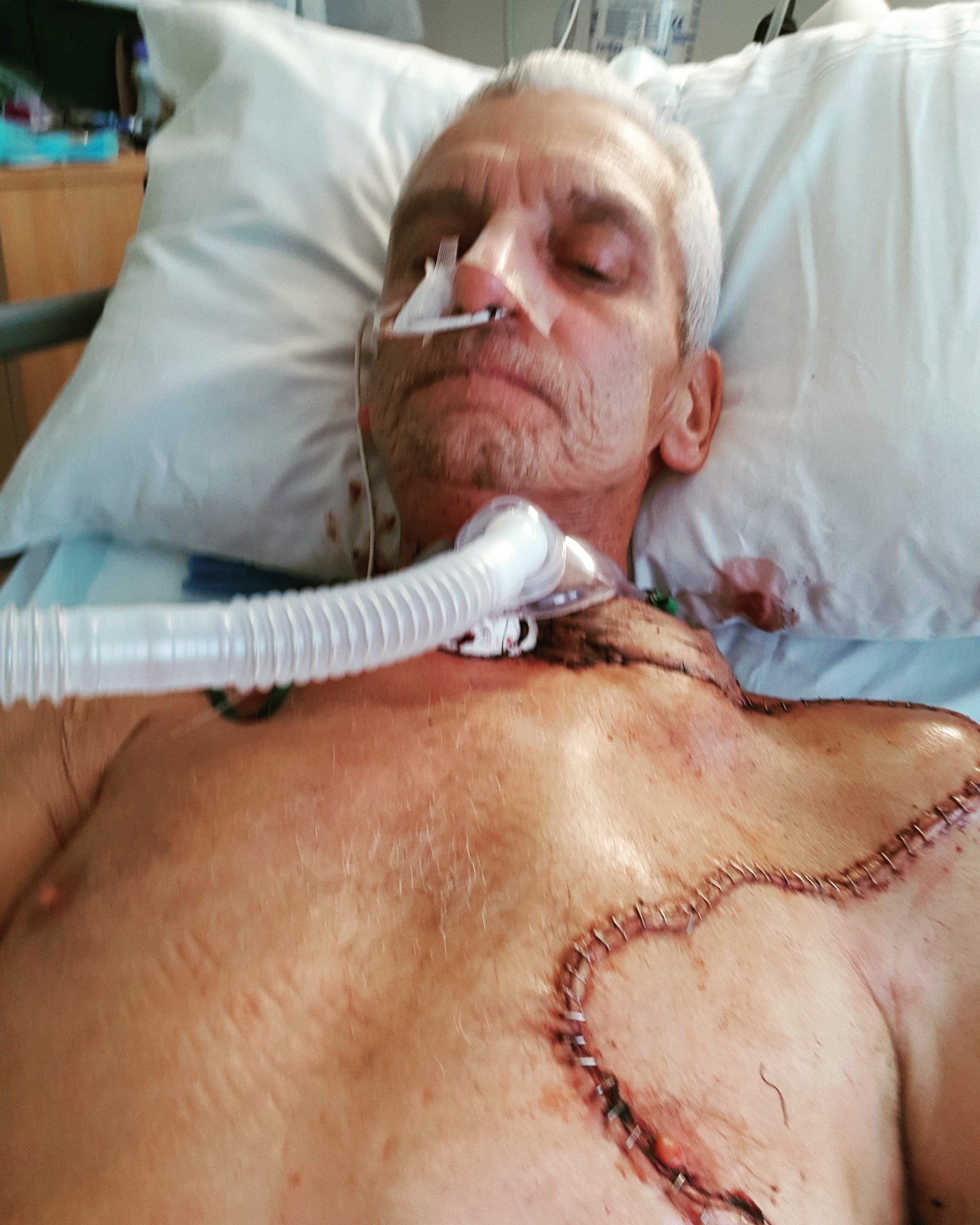 Image search 1766811876445