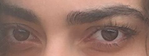 B54f00b6 c017 4e38 96e5 cd5ba152a6b3