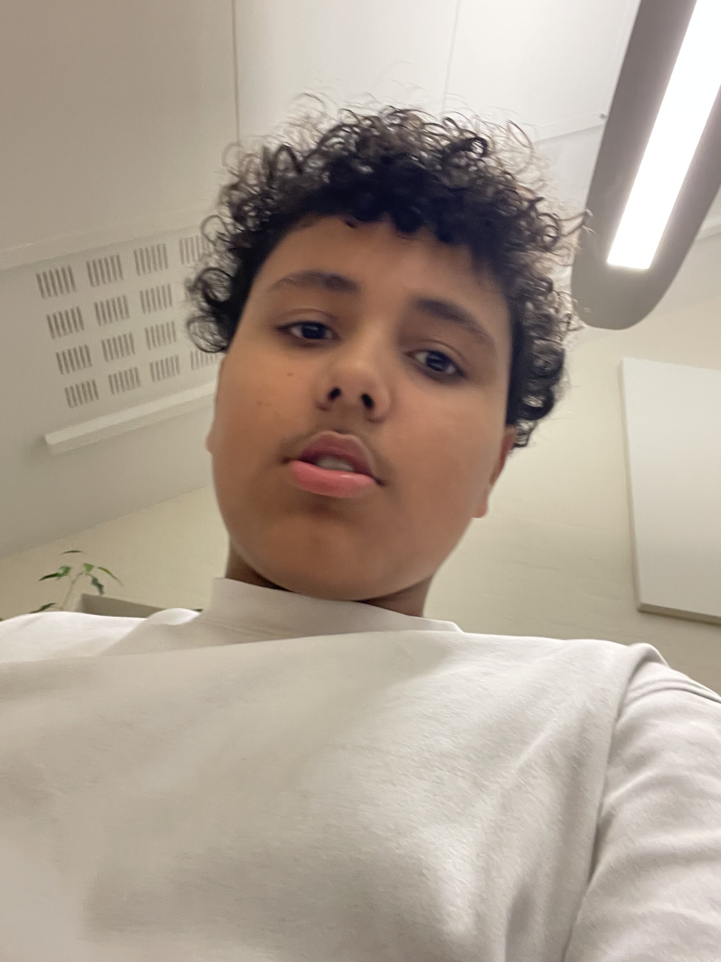 IMG 0208