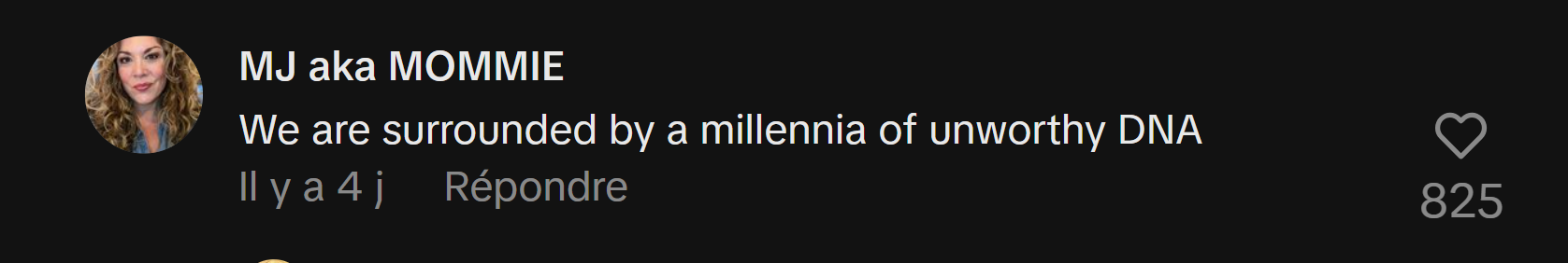 Capture dcran 2025 12 27 220231