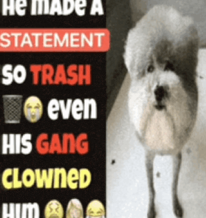 Gang