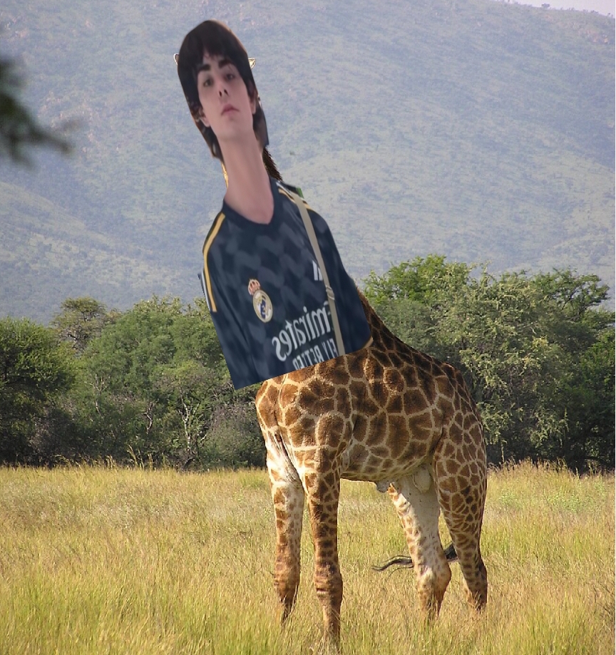 Screenshot 2025 11 03 17 17 09 341 comphotoappworldcutpastephoto edit