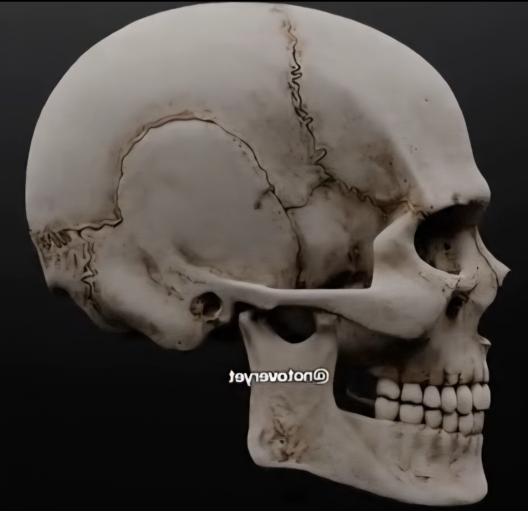 Screenshot 20251202 151436 Gallery