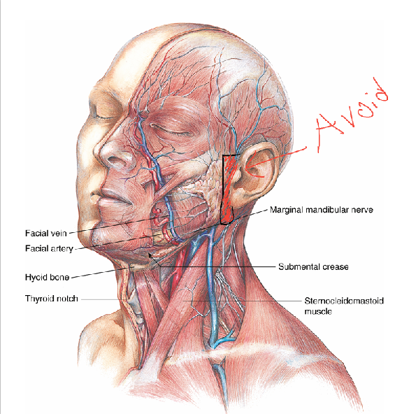 Screenshot 2025 12 29 015015