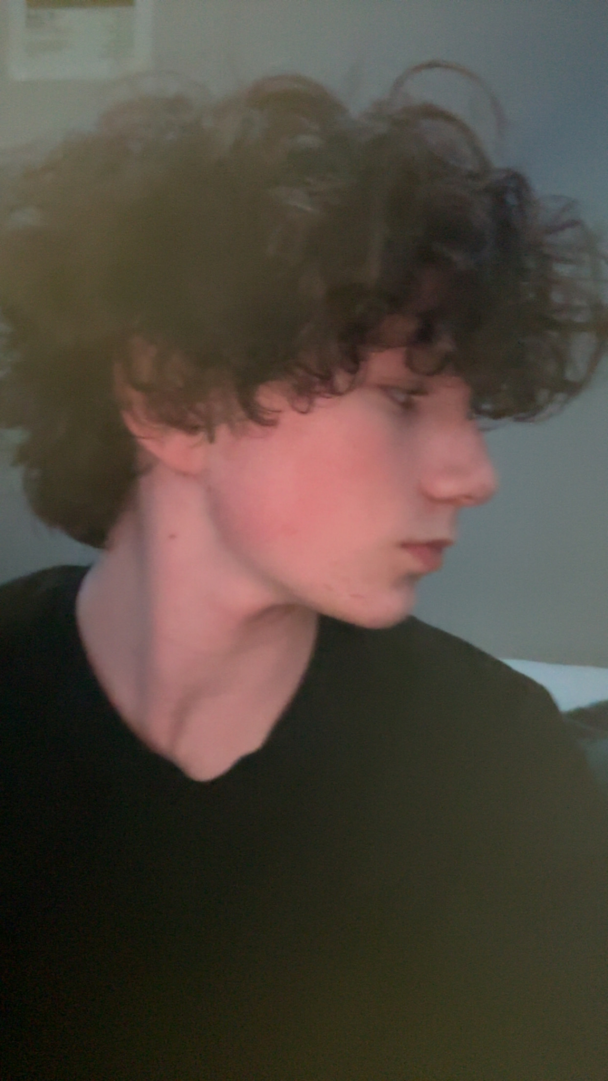IMG 1895