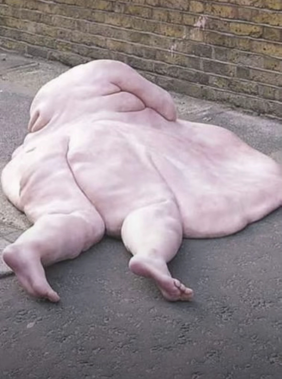 1565644950704b20a6fb1bd3809a83ectplv jj85edgx6n image origin