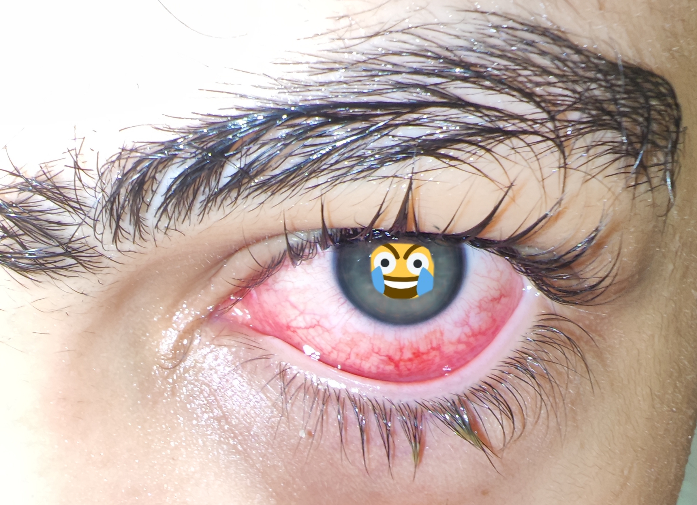 MEITU 20251220 184559899