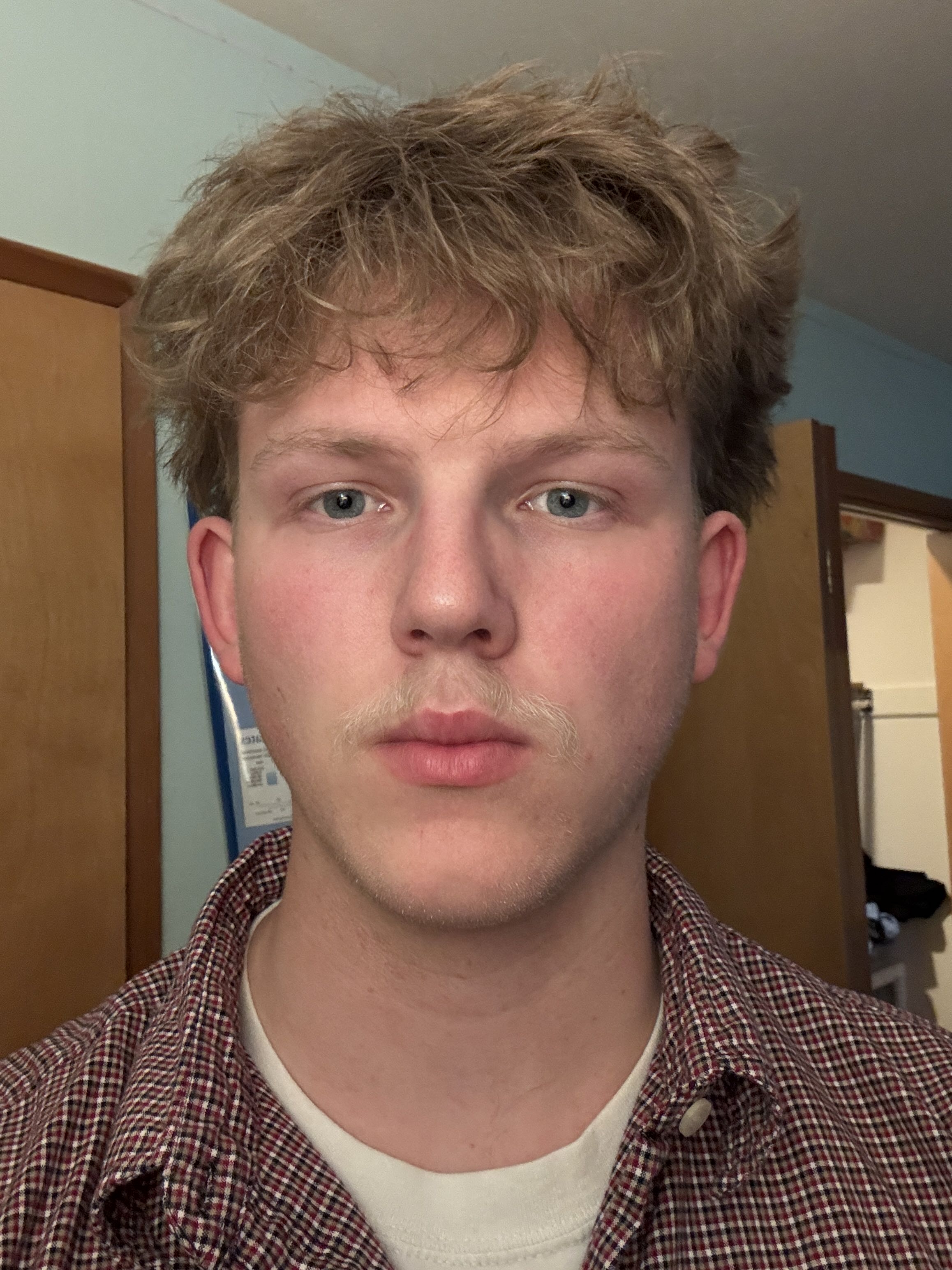 IMG 1317