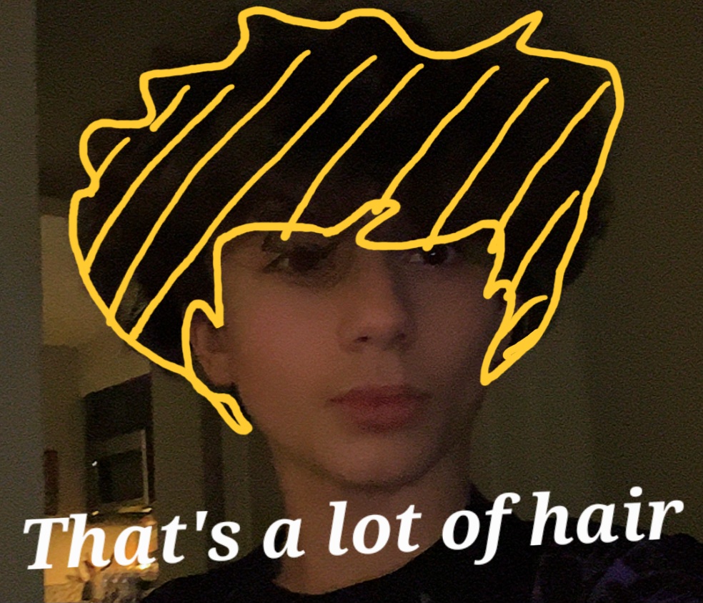 3393