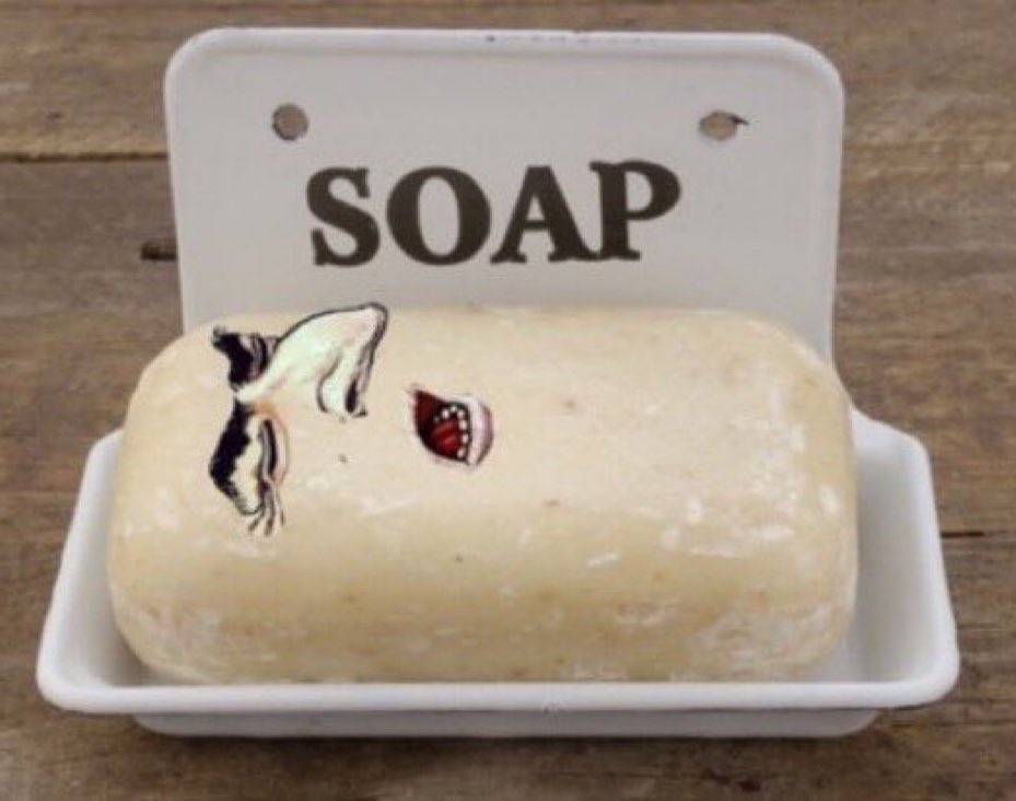 Lol jew soap
