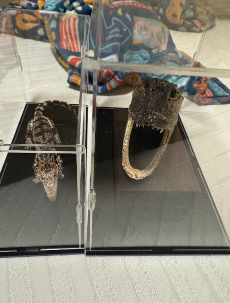 Screenshot 2025 12 30 80041 PM