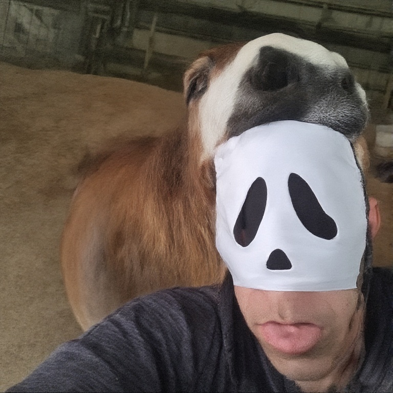 A casual photo of Horse wearin 5