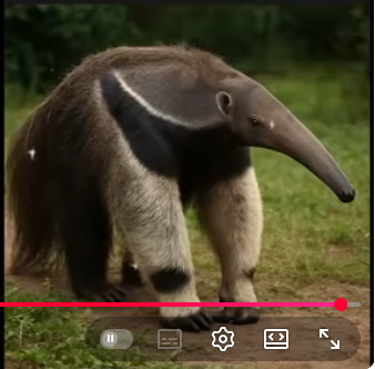 1767175346238