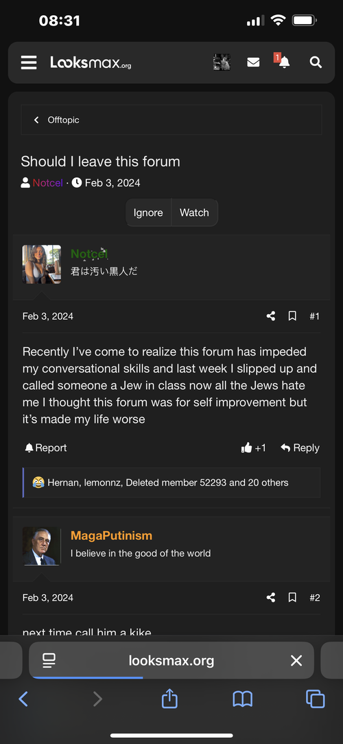 IMG_3966.png